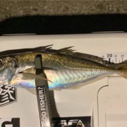 なかなか渋い・・・