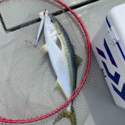 宮津エビスにて丹後沖ジギング