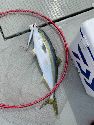 宮津エビスにて丹後沖ジギング