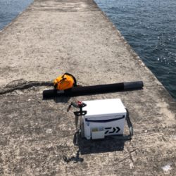 神戸沖堤防第3戦