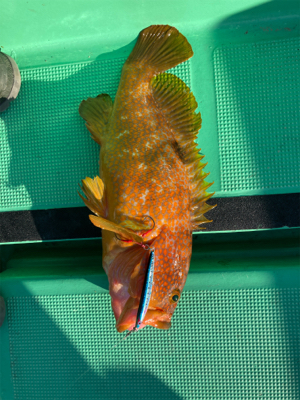 沖ノ島ジギング