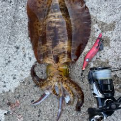 久しぶりに❗️