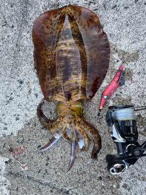 久しぶりに❗️