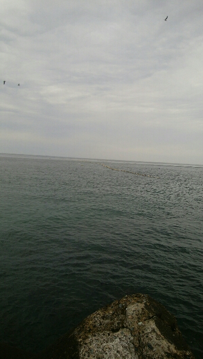 なんとかヒラメ1枚