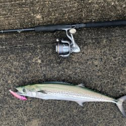 雨にも風にも負けず