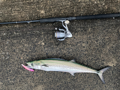 雨にも風にも負けず