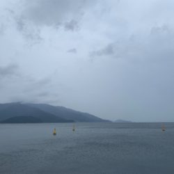 ショアジギング