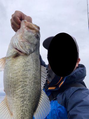 流行りのカバースキャット