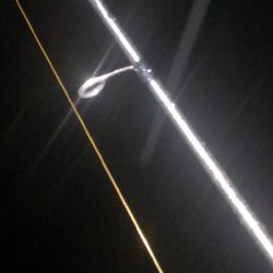 アジング練習 262 南港ジャンボ 尺アジ ABUリアルフィネス69 スローテーパーロッド