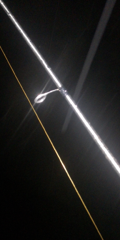 アジング練習 262 南港ジャンボ 尺アジ ABUリアルフィネス69 スローテーパーロッド