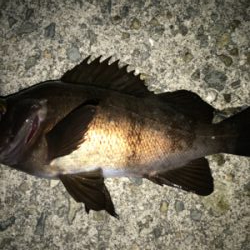 2021ライトゲーム第8戦