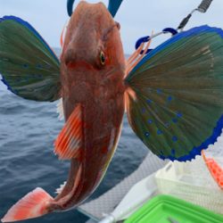 今シーズン、初ボート釣り