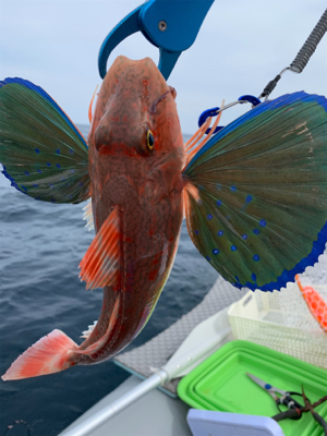 今シーズン、初ボート釣り