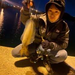 壱岐島遠征 初アオリイカ!