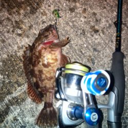 メバルプラッギング