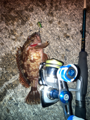 メバルプラッギング