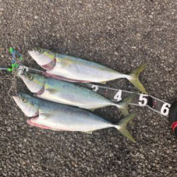 朝マヅメ最高(*｀ω´)b