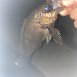 フロートメバリング