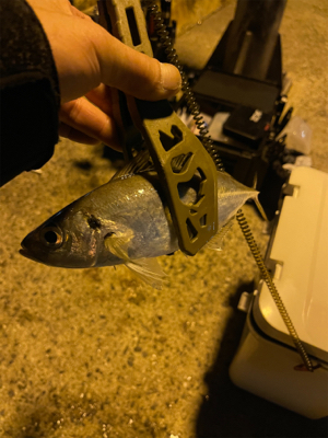 ゲキシブアジング&鯖ゲー