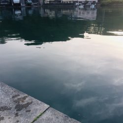 夕まずめに1杯！