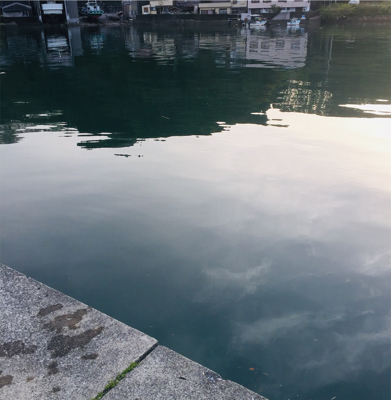 夕まずめに1杯！