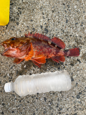 平戸島初釣行！