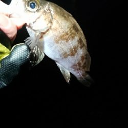 フロートゲーム