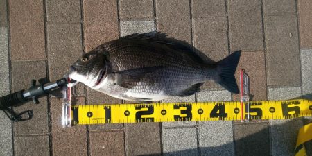 １ヶ月ぶり　～さざなみ公園～