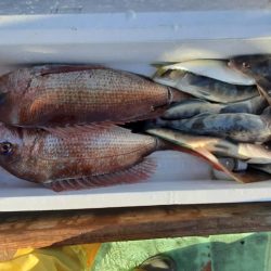 佐渡便五目ジギング