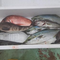 佐渡便五目ジギング&タイラバ