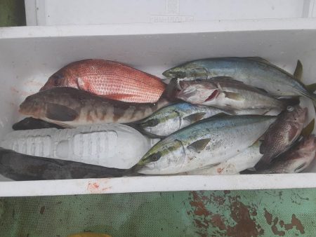 佐渡便五目ジギング&タイラバ