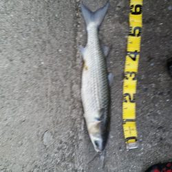 久しぶりのプチsalt water game