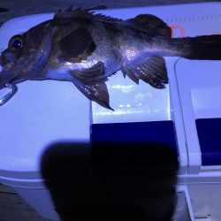 フロートメバリング