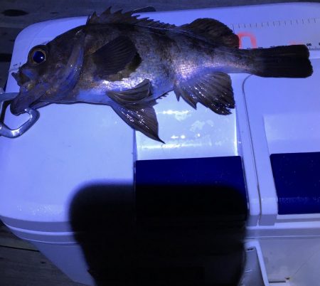 フロートメバリング