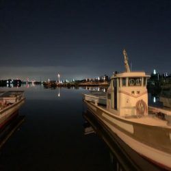 メバルプラッキング⑩