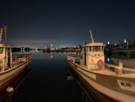 メバルプラッキング⑩