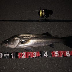 ががっときました。