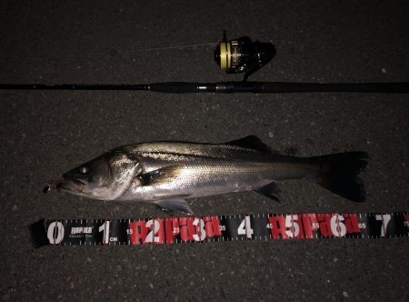 ががっときました。