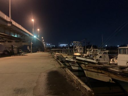 メバルプラッキング23