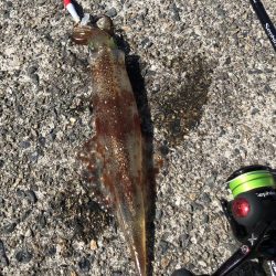 スッテでちゅー