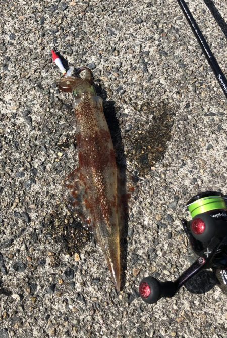 スッテでちゅー