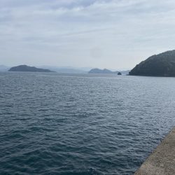 ショアジギング