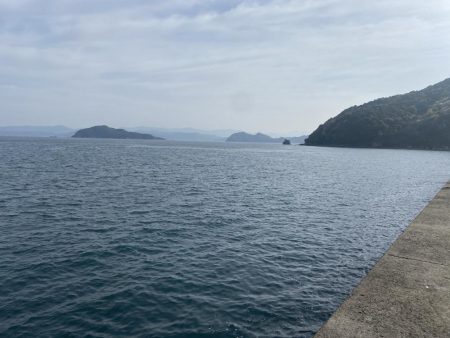 ショアジギング