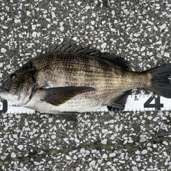 イチノ兄弟、釣果！