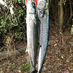 記録更新ならず