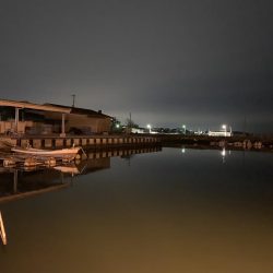 メバルプラッキング⑦