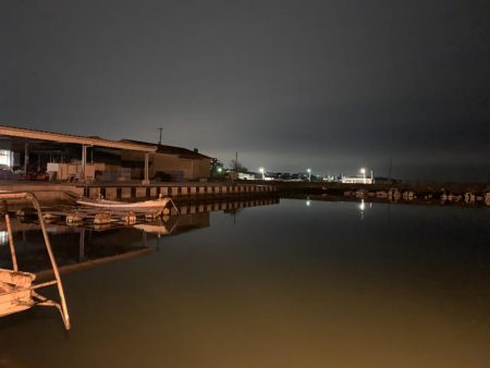 メバルプラッキング⑦