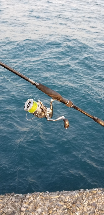 サワラと呼んでいいかな?