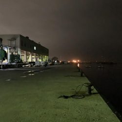 メバルプラッキング19