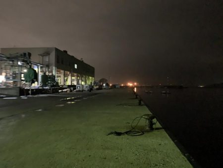 メバルプラッキング19